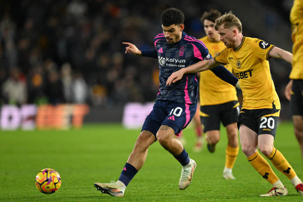 主要来源只 主要来源只